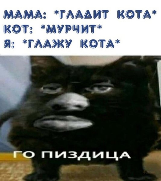 Агрессивный котик Мем