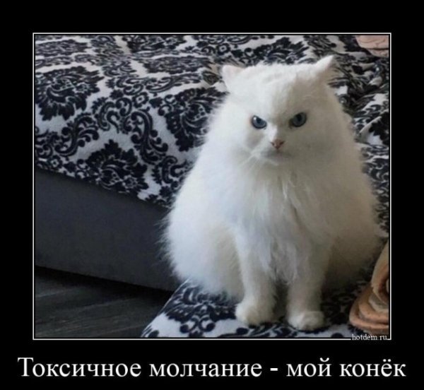 Агрессивно молчит кот
