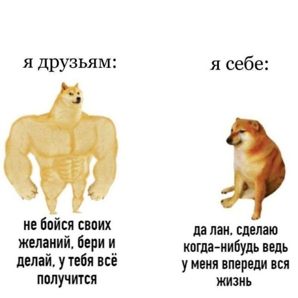Пук собаки