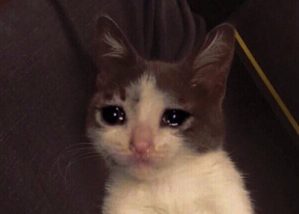 Грустный кот плачет