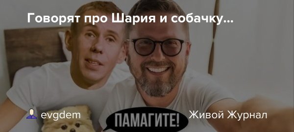 Собака Шария прикол