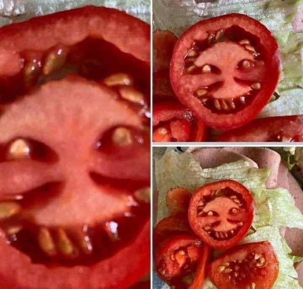 Злой помидор