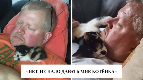 Отец и кот Мем