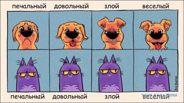 Смешные комиксы