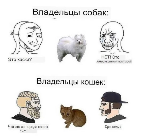 Смешные мемы Двач