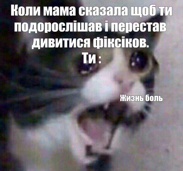 Котик плачет Мем