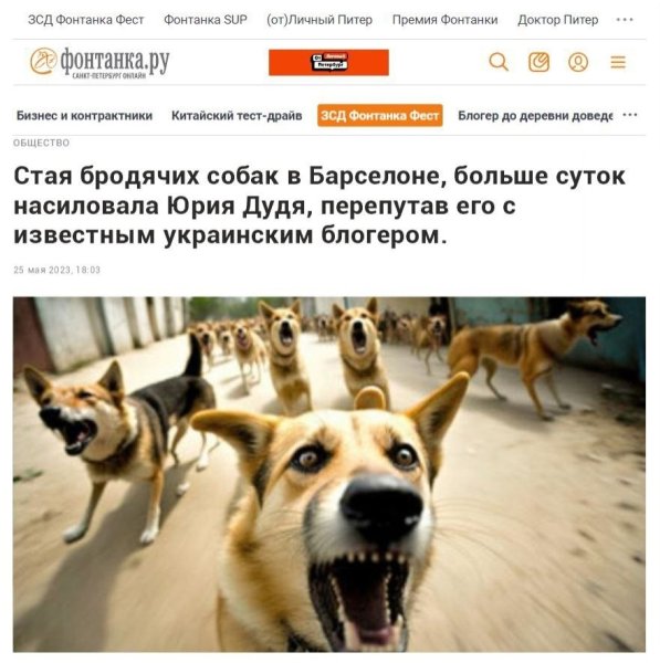 Шпиц Шария Мем