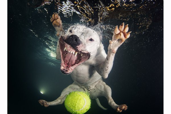 Фотограф сет Кастил