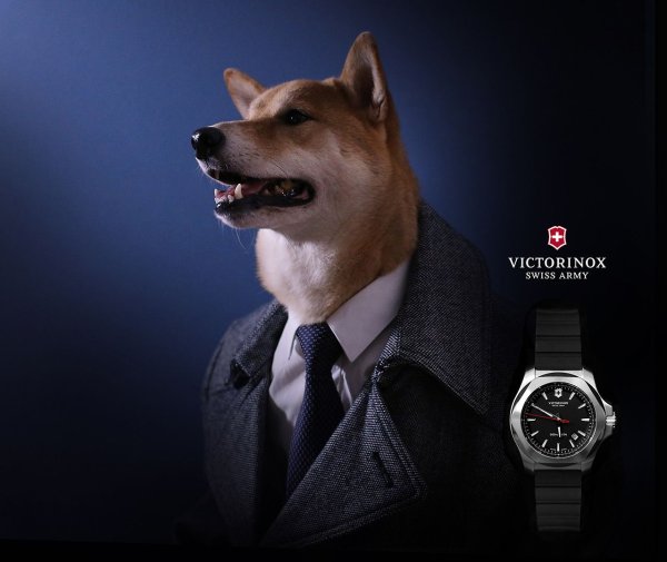 Собака в деловом костюме