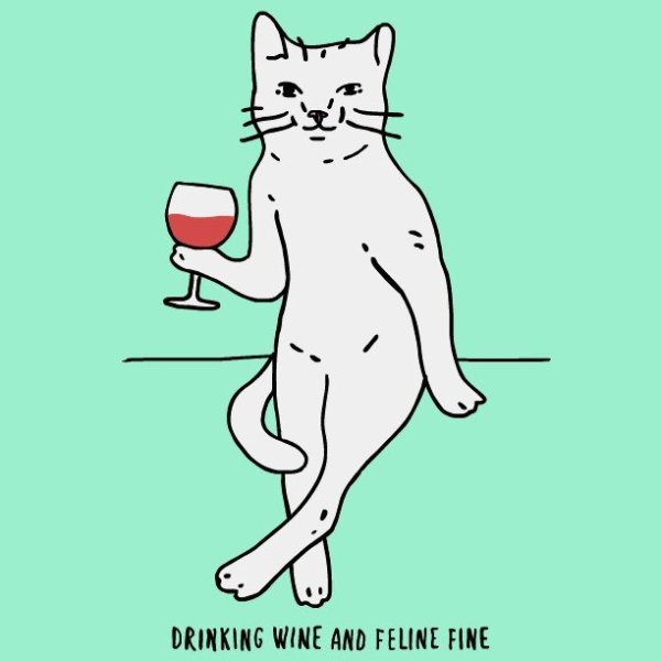 Котик с вином