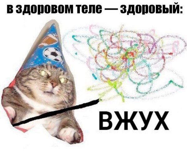 Кот вжух Мем