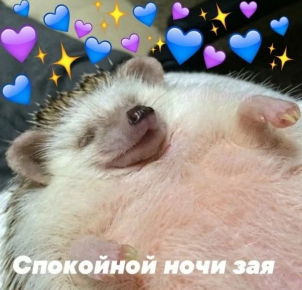 Спокойной ночи милые сердечки