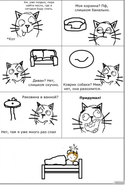 Мемы с котом