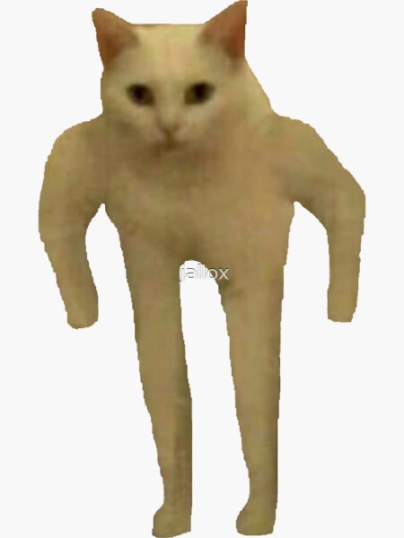 Котик на белом фоне Мем