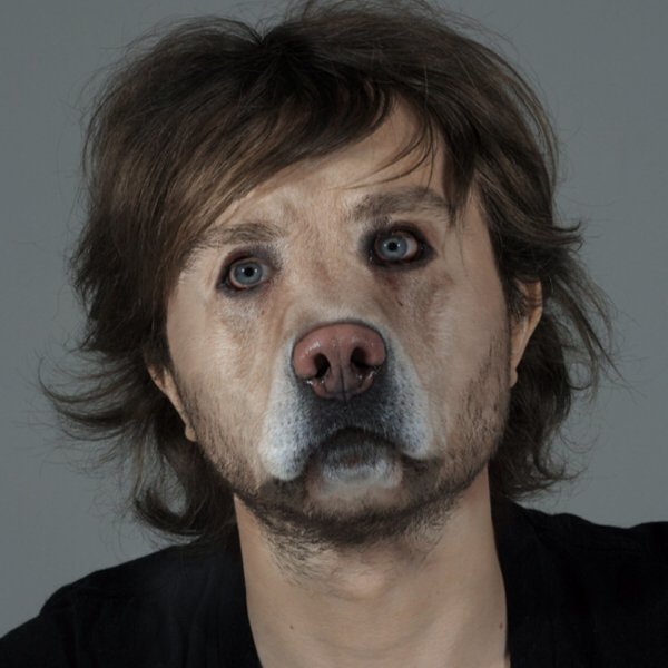 Лицо собаки