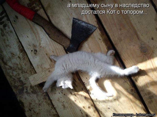 Рыжий кот с топором