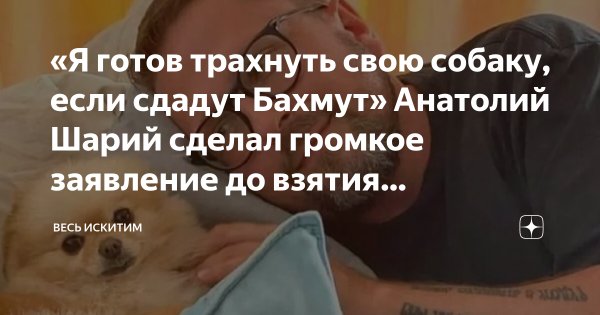 Шарий и собака