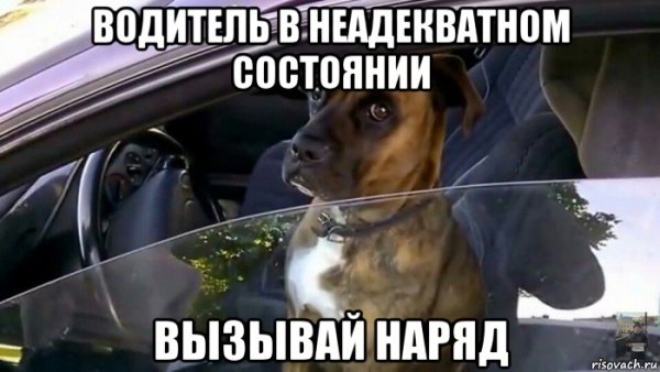 Водитель Мем