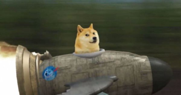 Собака в ракете