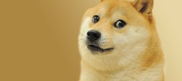 Доги Мем порода