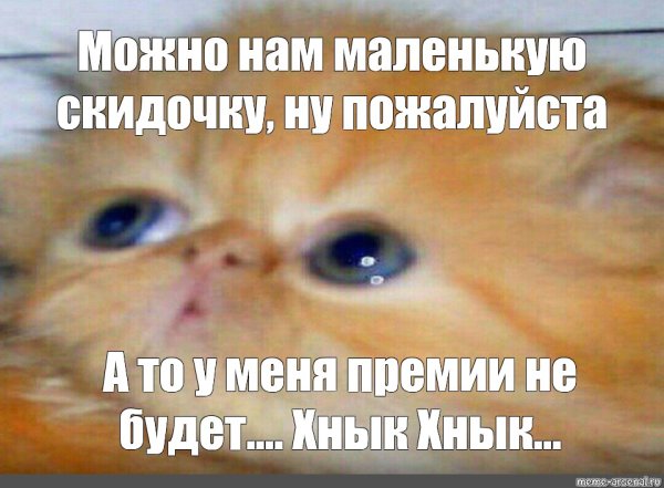 Можно не надо Мем кот