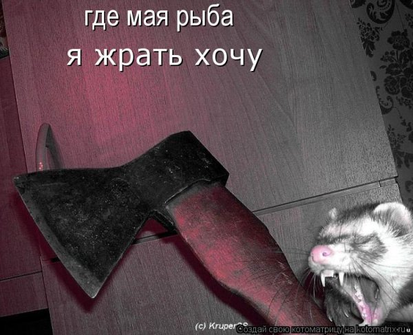 Кот с топором