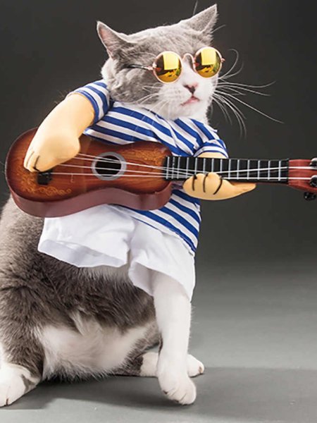 Кот с гитарой