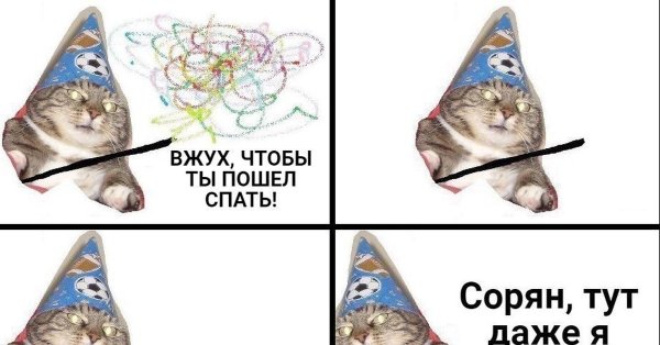 Кот колдует вжух
