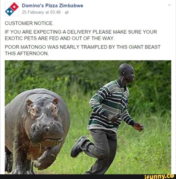 Семья заводит собаку Мем