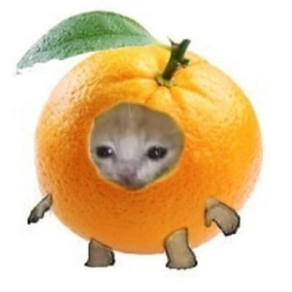 Котики в виде фруктов