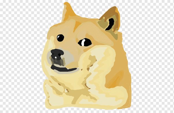 Сиба-ину Doge