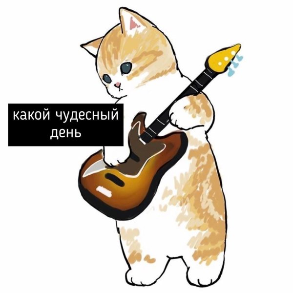 Котик с гитарой рисунок