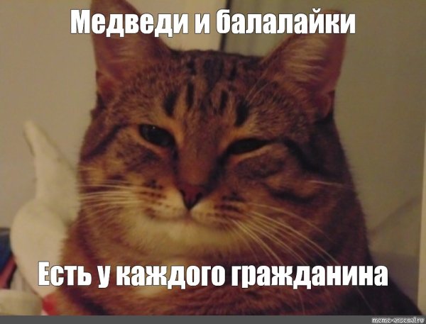 Кот улыбается Мем