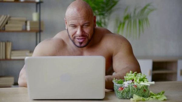 Кочек за ноутбуком