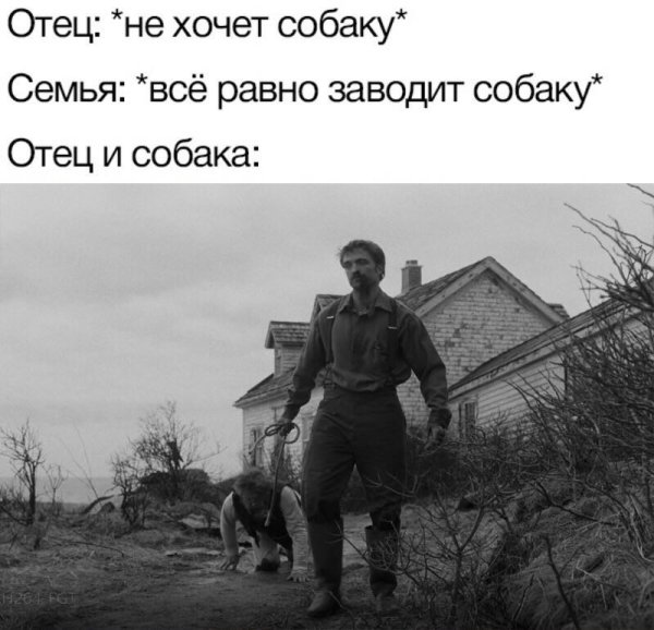 Отец не хочет заводить собаку Мем