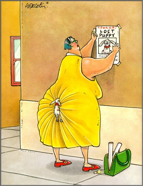 Карикатура потерялась собачка