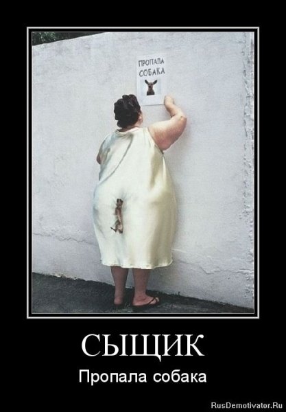 Потерялась собака демотиватор