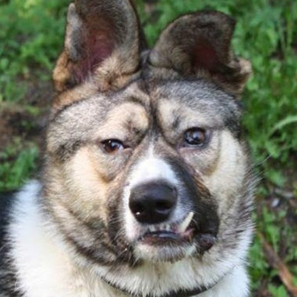 Да похуй мне щенок ебаный