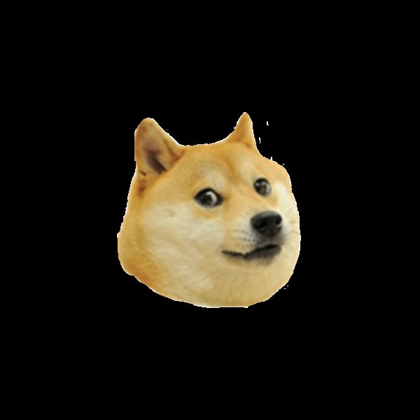 Собака из мема