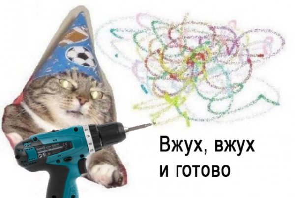 Котик вжух вжух