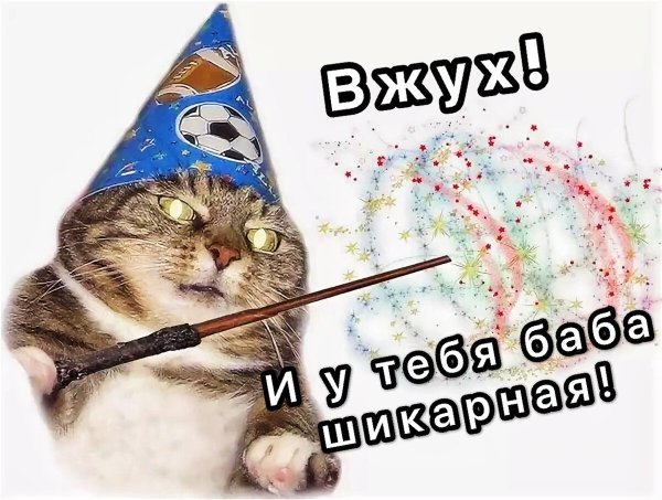Котик вжух