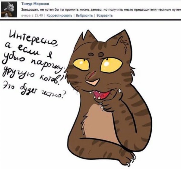 Коты Воители приколы Воители
