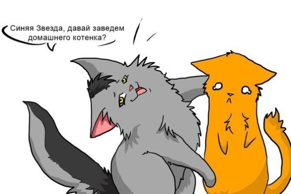 Коты Воители приколы
