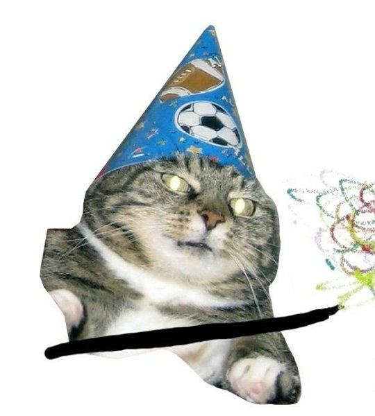 Кот Колдун вжух