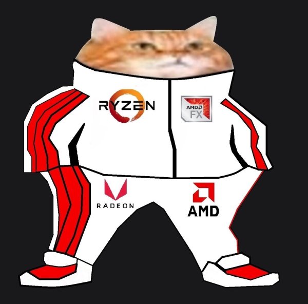 Кот в адидасе аватарка