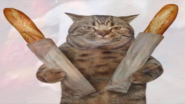 Кот хлеб