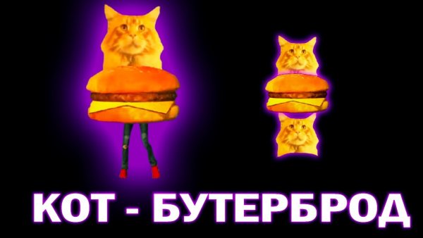 Мем котик бутерброд