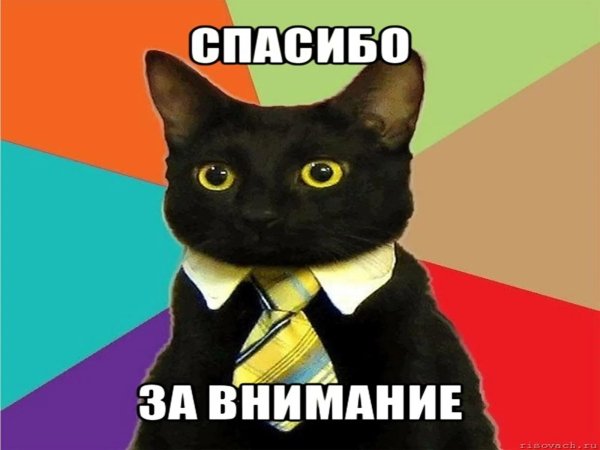 Спасибо за внимания котиик