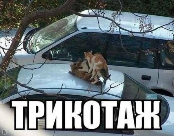 Смешные приколы