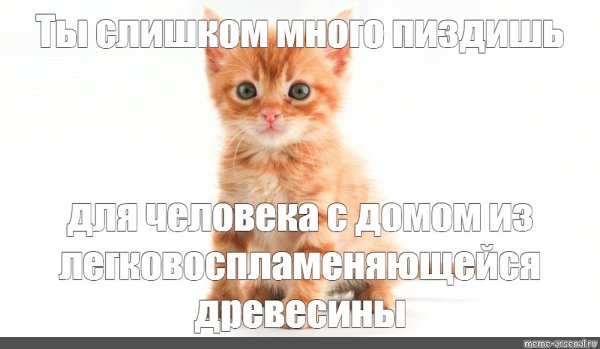 Котенок улыбается Мем